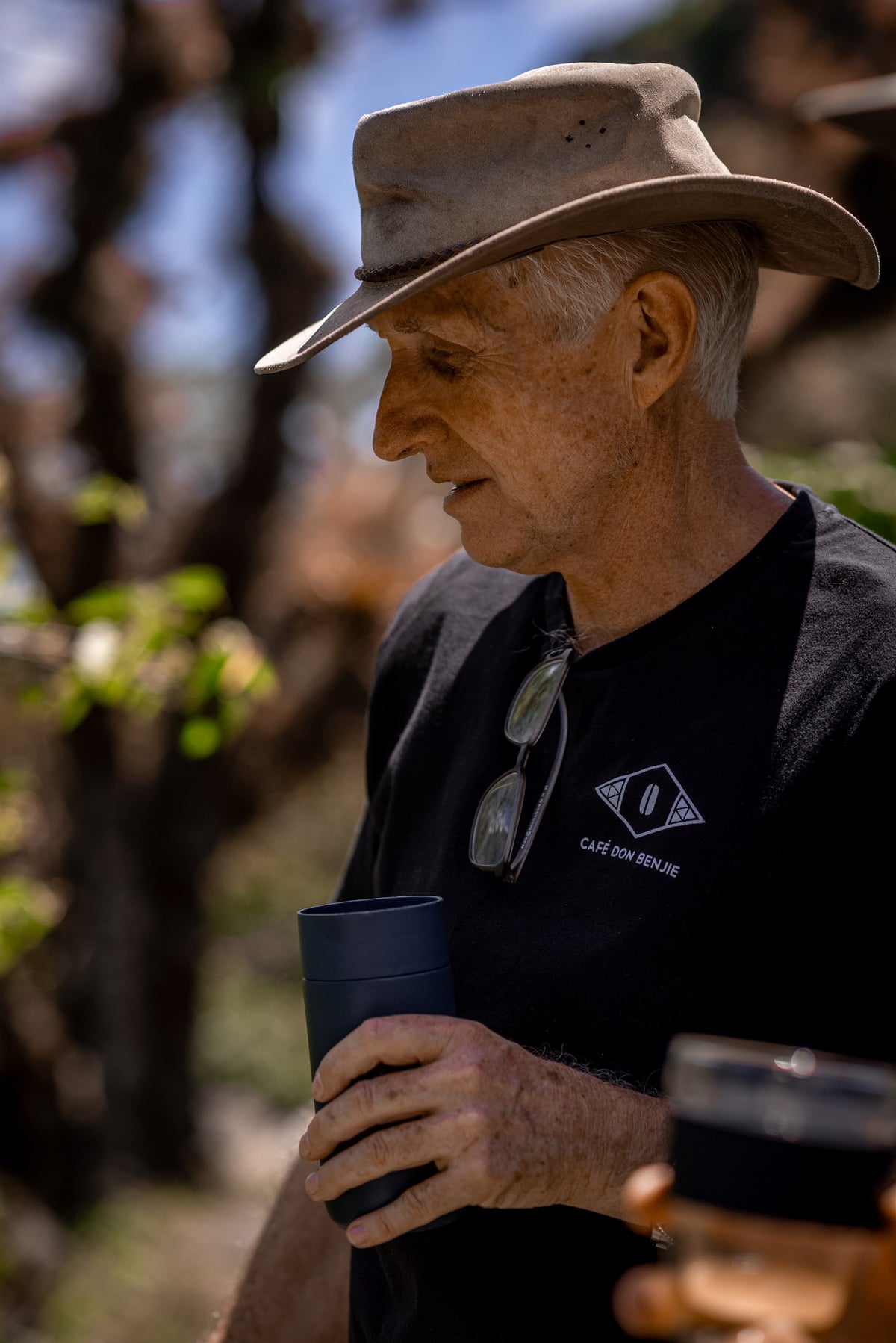 Coffee farm in Bajo Mono, Boquete